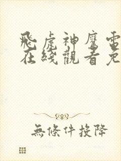 飞虎神鹰电视剧在线观看免费高清