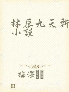 林辰九天斩神诀小说封面