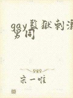 gay监狱刺激男同