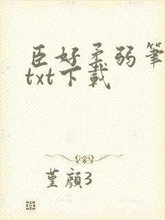 臣好柔弱笔趣阁txt下载