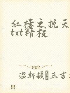 红楼之挽天倾无txt精校