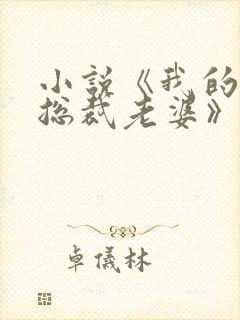 小说《我的冷艳总裁老婆》