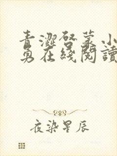 青涩启蒙小说张勇在线阅读全文