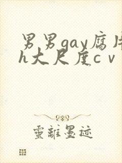 男男gay腐片h大尺度cⅴ小蓝