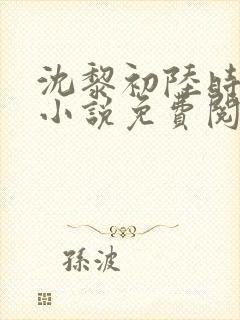 沈黎初陆时霁的小说免费阅读全文封面