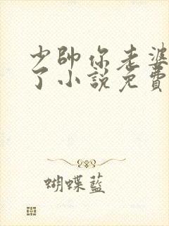 少帅你老婆又跑了小说免费下载