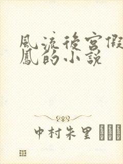 风流后宫假龙真凤的小说封面