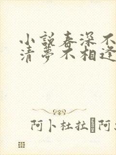 小说春深不归客清梦不相逢免费阅读封面