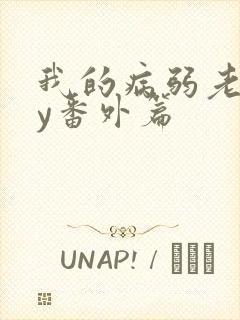 我的病弱老婆by番外篇