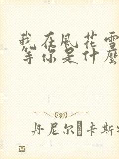 我在风花雪月里等你是什么小说