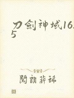 刀剑神域16.5