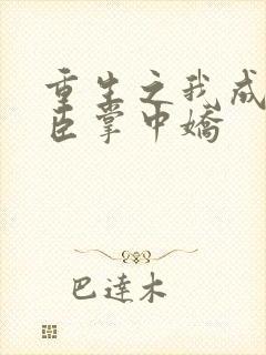 重生之我成了权臣掌中娇