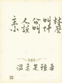 主人公叫林白的小说叫什么名字