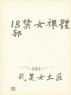 18禁女裸体阴部