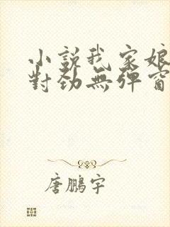 小说我家娘子不对劲无弹窗无广告