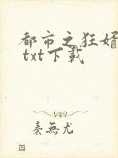 都市之狂婿战神 txt下载