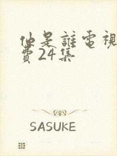 他是谁电视剧免费24集