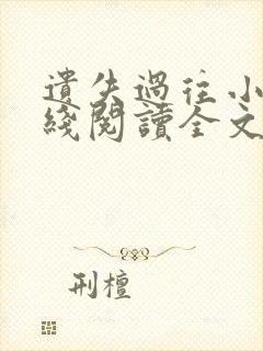 遗失过往小说在线阅读全文无弹窗