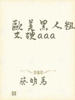 欧美黑人粗又大又硬aaa封面