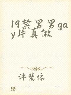 19禁男男gay片真做