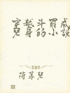 穿越斗罗成了女儿身的小说封面