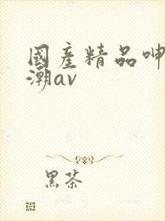 国产精品呻吟高潮av