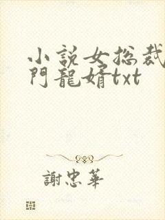 小说女总裁的上门龙婿txt