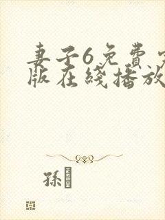 妻子6免费完整版在线播放电视剧封面