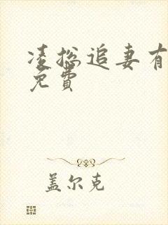 凌总追妻有点甜免费封面