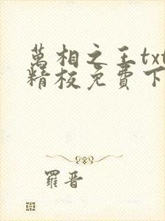万相之王txt精校免费下载