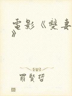 电影《双妻艳史》