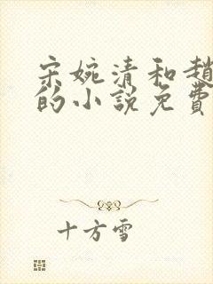 宋婉清和赵振国的小说免费封面