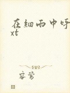 在细雨中呼喊txt