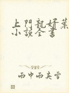 上门龙婿叶辰的小说全书