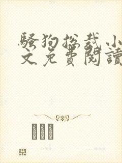 骚狗总裁小说全文免费阅读最新章节