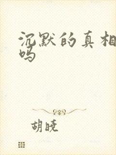 沉默的真相好看吗