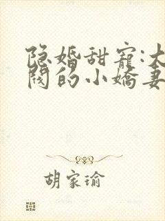 隐婚甜宠:大财阀的小娇妻