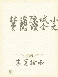 林瑶陈城小说免费阅读全文最新章节封面