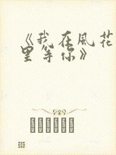 《我在风花雪月里等你》封面