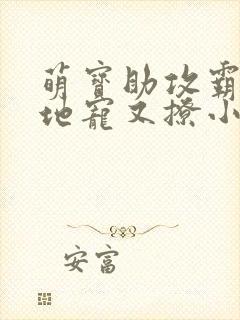 萌宝助攻霸道爹地宠又撩小说免费阅读