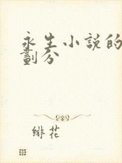 永生小说的境界划分封面