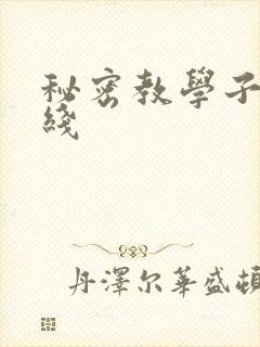秘密教学子豪在线封面