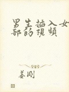 男生插入女生下部的视频