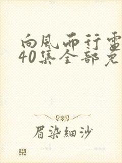 向风而行电视剧40集全部免费观看