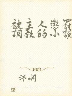 被主人惩罚玩弄调教的小说