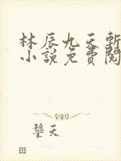 林辰九天斩神诀小说免费阅读