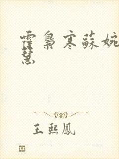 霍枭寒苏婉苏晓慧