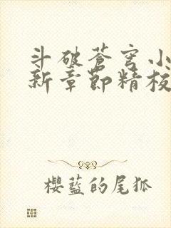 斗破苍穹小说最新章节精校版封面