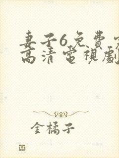 妻子6免费完整高清电视剧在线