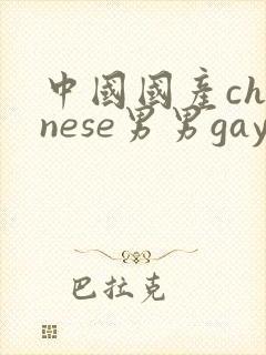 中国国产chinese男男gay gay网站